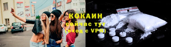 крисы Баксан