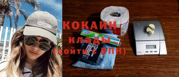 крисы Баксан