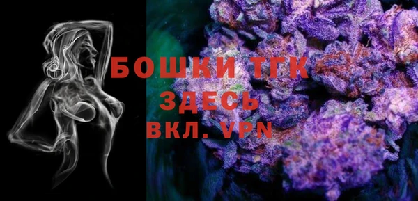 крисы Баксан