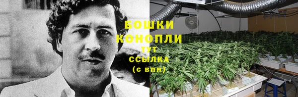 прущие крисы Нягань