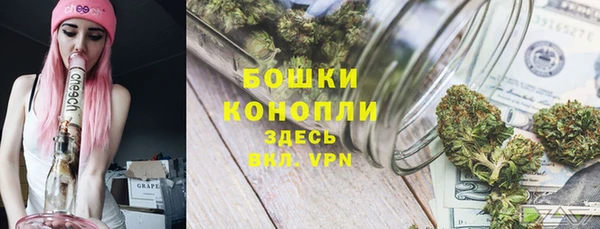 соль ск Балахна