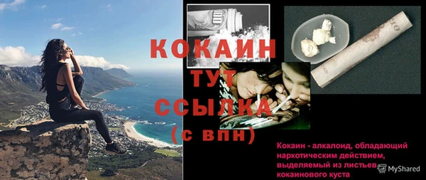 крисы Баксан