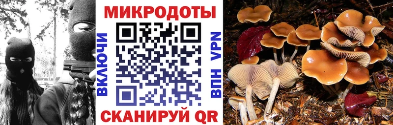 blacksprut зеркало  Зеленогорск  Галлюциногенные грибы мицелий  цена  