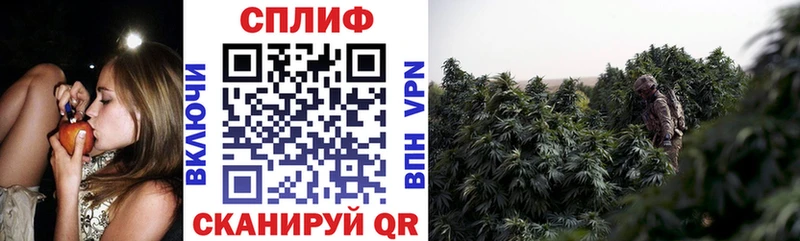 где можно купить Зеленогорск Марихуана марихуана